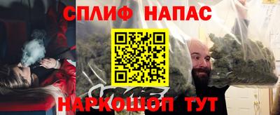 Альфа ПВП Можга
